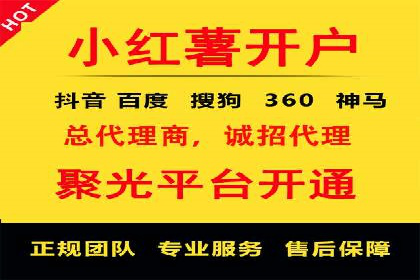 某企业通过SEO和SEM双管齐下实现业绩飞跃的案例